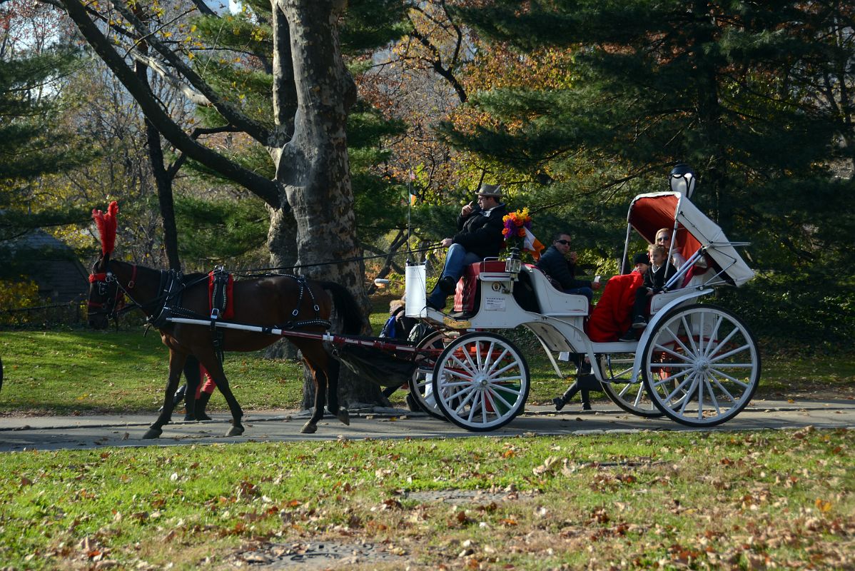 10A Taking A Horse And Carriage Ride Through Central Park In November